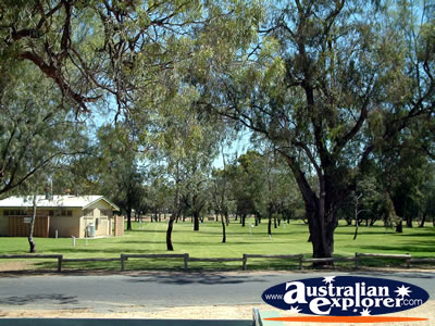 Waikerie Park . . . CLICK TO VIEW ALL WAIKERIE POSTCARDS