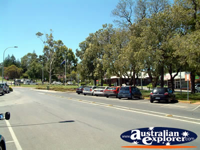 Sunny Berri Street . . . VIEW ALL BERRI PHOTOGRAPHS