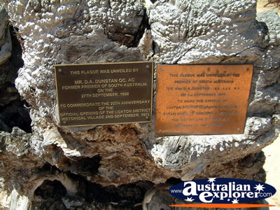 Loxton Historical Village Plaques . . . VIEW ALL LOXTON PHOTOGRAPHS