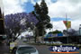 Murray Bridge Street . . . CLICK TO ENLARGE
