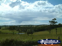 Pretty Landscape Between Hahndorf and Victor Harbour . . . CLICK TO ENLARGE