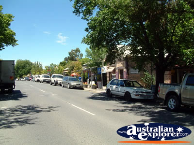 Hahndorf Street View . . . CLICK TO VIEW ALL HAHNDORF POSTCARDS