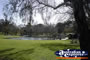 Adelaide Rymill Park . . . CLICK TO ENLARGE