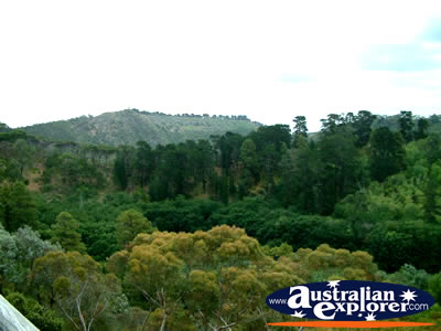 Mount Gambier Blue Lake Lookout . . . CLICK TO VIEW ALL MOUNT GAMBIER POSTCARDS