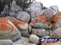 Bay of Fires in Mount William National Park . . . CLICK TO ENLARGE