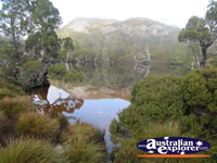 Wombat Pool at Cradle Mountain  . . . CLICK TO ENLARGE