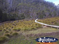 Cradle Mountain National Park