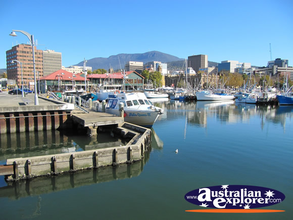 Victoria Dock View . . . CLICK TO VIEW ALL HOBART POSTCARDS