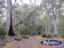 View from Walk . . . CLICK TO ENLARGE
