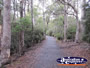 Walkin Track . . . CLICK TO ENLARGE