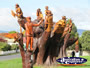 Carved Memorial Trees . . . CLICK TO ENLARGE