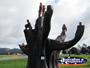 Thomas Edward Edwards Memorial Tree . . . CLICK TO ENLARGE