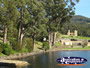 Mason Cove and Port Arthur