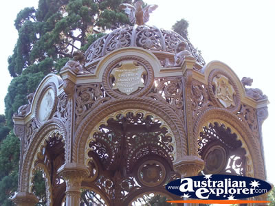 Royal Park - Launceston . . . CLICK TO VIEW ALL LAUNCESTON POSTCARDS