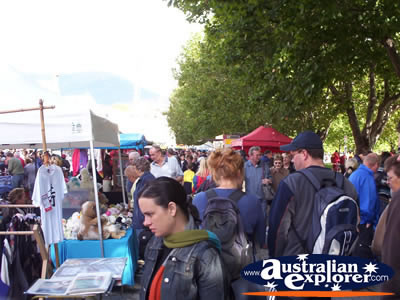Hobart - Salamanca Place Markets . . . CLICK TO VIEW ALL SALAMANCA PLACE - HOBART POSTCARDS