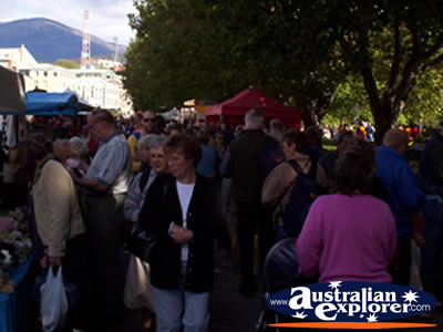 Hobart - Salamanca Place Markets . . . VIEW ALL SALAMANCA PLACE - HOBART PHOTOGRAPHS