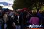 Hobart - Salamanca Place Markets . . . CLICK TO ENLARGE