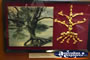 Ballarat Gold Museum Gold Nugget Tree . . . CLICK TO ENLARGE