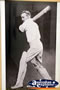 Ballarat Gold Museum Cricketer Display . . . CLICK TO ENLARGE