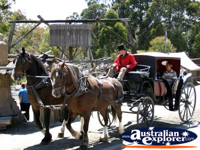 Ballarat Sovereign Hill Horse and Cart Ride . . . CLICK TO VIEW ALL BALLARAT POSTCARDS