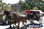 Ballarat Sovereign Hill Horse and Cart Ride . . . CLICK TO ENLARGE