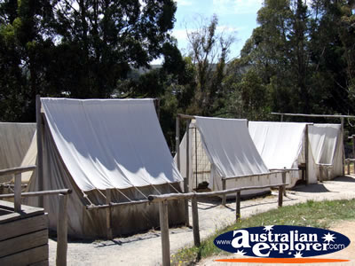 Ballarat Sovereign Hill Line of Tents . . . CLICK TO VIEW ALL BALLARAT POSTCARDS