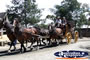 Horse and Cart at Ballarat Sovereign Hill . . . CLICK TO ENLARGE