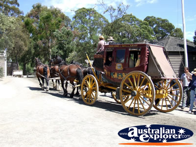 Ballarat Sovereign Hill Horse and Cart . . . CLICK TO VIEW ALL BALLARAT POSTCARDS