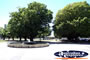 Colac Park . . . CLICK TO ENLARGE