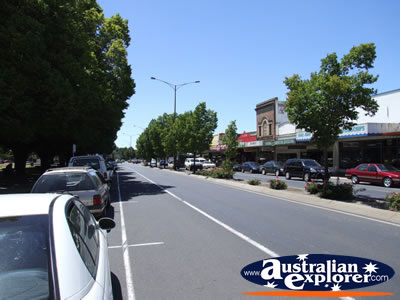 Street in Colac . . . CLICK TO VIEW ALL COLAC POSTCARDS