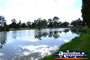 Beautiful shot of Cohuna Lake . . . CLICK TO ENLARGE