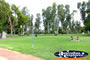 Park in Cohuna . . . CLICK TO ENLARGE
