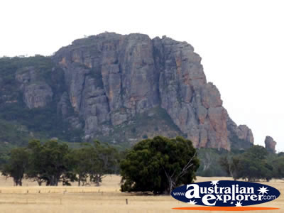 Grampians Outside Horsham View . . . CLICK TO VIEW ALL HORSHAM POSTCARDS