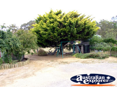 Cathcart Miners Cottage Kids Playground . . . CLICK TO VIEW ALL ARARAT POSTCARDS