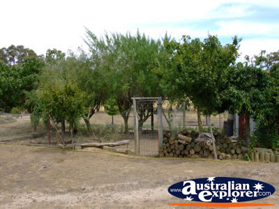 Cathcart Miners Cottage Backyard . . . CLICK TO VIEW ALL ARARAT POSTCARDS