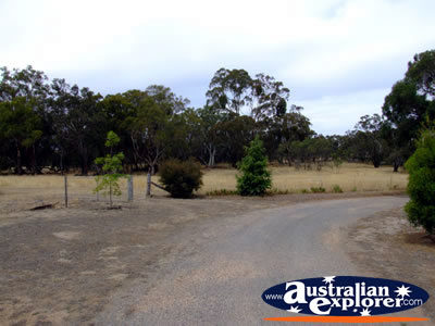 Cathcart Miners Cottage Land . . . CLICK TO VIEW ALL ARARAT POSTCARDS
