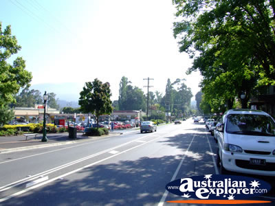 View Down Healesville Street . . . CLICK TO VIEW ALL HEALESVILLE POSTCARDS