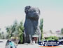 Giant Koala Between Horsham & Stawell . . . CLICK TO ENLARGE