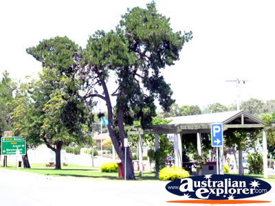 Avoca Street . . . CLICK TO VIEW ALL AVOCA POSTCARDS