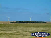 Codrington Wind Farm on way to Port Fairy . . . CLICK TO ENLARGE