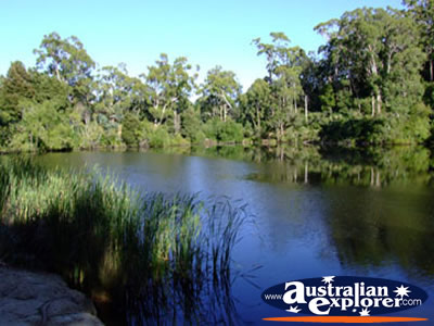 Jubilee Lake in Daylesford . . . CLICK TO VIEW ALL DAYLESFORD POSTCARDS