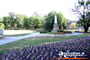 Bendigo Statue Queen Victoria . . . CLICK TO ENLARGE