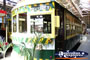 Colourful Tram in Bendigo . . . CLICK TO ENLARGE