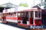 Bendigo Tram . . . CLICK TO ENLARGE