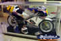 Phillip Island Circuit Museum Motorbike in Class Cabinet . . . CLICK TO ENLARGE