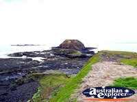 Landscape of Phillip Island from the Nobbies . . . CLICK TO ENLARGE