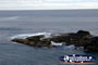 Phillip Island view from The Nobbies . . . CLICK TO ENLARGE