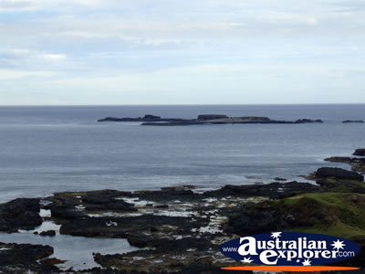 Phillip Island view from The Nobbies . . . CLICK TO VIEW ALL PHILLIP ISLAND POSTCARDS