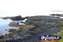 Phillip Island view from The Nobbies . . . CLICK TO ENLARGE