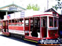 Bendigo Tram Close Up . . . CLICK TO ENLARGE
